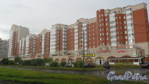 Новоколомяжский проспект, дом 4, корпус 1. Кирпично-монолитный дом 2004 года постройки. Фото 10 июля 2015 года.