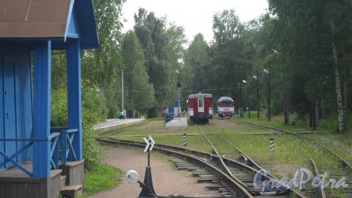 Озерковский проспект. Станция «Озёрная» детской железной дороги. Фото 2 августа 2015 года.