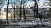 Проспект Тореза, дом 94, корпус 1. Гимназия №92 Выборгского района Санкт-Петербурга. Фото 13 марта 2016 года.