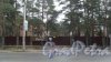 г. Всеволожск, проспект Некрасова, дома 2(справа) и 2А(слева). Частный пансионат с лечением для пожилых людей. Вход с Колтушского шоссе. Фото 26 апреля 2016 года.