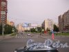 Товарищеский пр. Вид с ул. Коллонтай в сторону Российского пр. Фото 13 августа 2016 г.