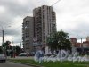 Ленинский проспект, дом 137. Общий вид жилого дома со стороны проспекта Народного Ополчения. Фото 9 июля 2016 года.