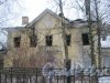 пр. Ветеранов, дом 141, корпус 2. Фрагмент заброшенного дома. Вид с Добрушской ул. Фото 19 января 2017 года.