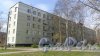 Проспект Ветеранов, дом 48. 5-этажный жилой дом серии Г-3И 1966 года постройки. 7 парадных, 70 квартир. Фото 11 мая 2017 года.
