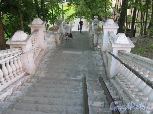 г. Ломоносов, Центральная лестница от Еленинской улицы к дворцовому проспекту. Общий вид. Фото 11 сентября 2015 г.