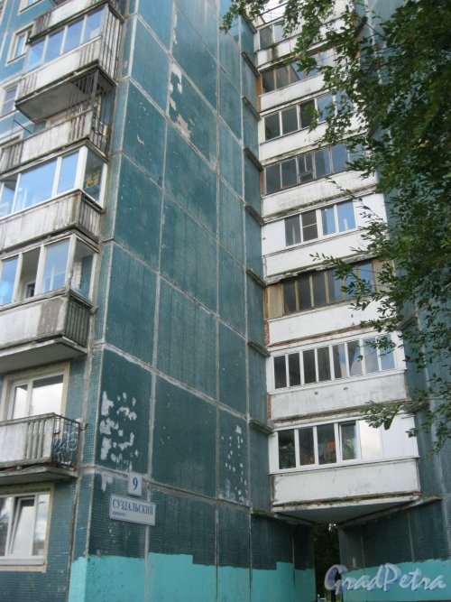 Суздальский пр., дом 9. Фрагмент фасада. Фото 31 августа 2015 г.