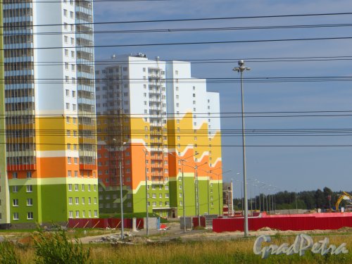 Жилой комплекс «Новая Охта». Проспект Маршака, дом 16 корпус 3. Фасад вдоль улицы Корнея Чуковского. Фото 6 августа 2015 года.