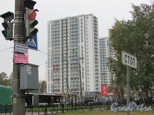 Ириновский проспект, участок 1. Строительство жилого комплекса «Нью-Тон». 13 октября 2015 года.
