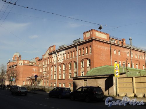 Чкаловский проспект, дом 35. Общий вид здания Академической гимназии №56. Фото 25 апреля 2011 года. 