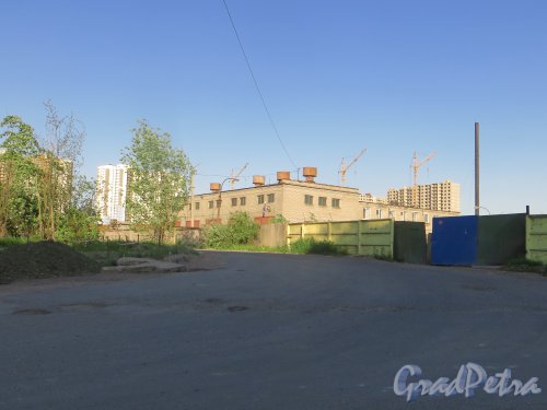 проспект Космонавтов, дом 102, литера А. Общий вид территории на пересечении проспекта Космонавтов и Свирской улицы. Фото 7 июня 2015 года.