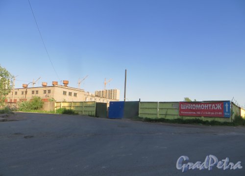 проспект Космонавтов, дом 102, литера А. Общий вид территории на пересечении проспекта Космонавтов и Свирской улицы. Фото 7 июня 2015 года.