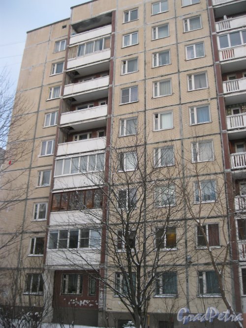 Пр. Маршала Жукова, дом 47. Фрагмент фасада здания. Фото 19 января 2016 г.