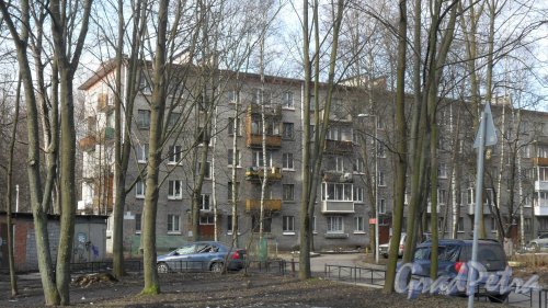 Светлановский проспект, дом 17. 5-этажный жилой дом серии 1-528кп 1963 года постройки. 4 парадные, 80 квартир. Фото 13 марта 2016 года.