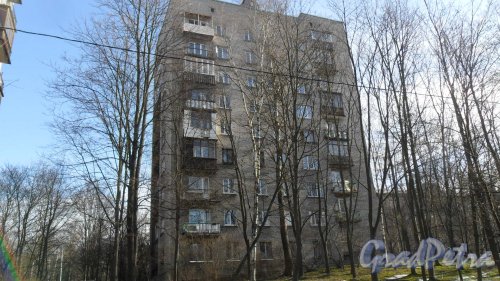 Проспект Тореза, дом 86. 9-этажный жилой дом серии 1-528кп40 1963 года постройки. 1 парадная, 45 квартир. Фото 13 марта 2016 года.