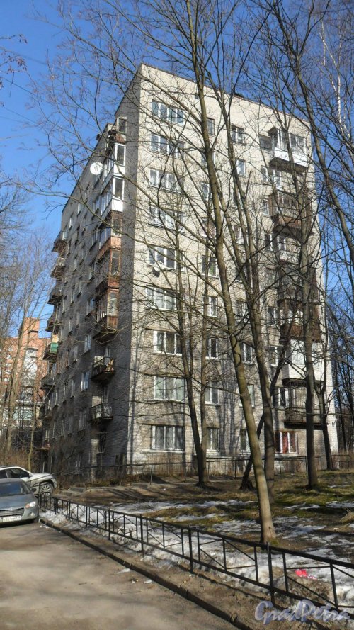 Проспект Тореза, дом 90. 9-этажный жилой дом серии 1-528кп40 1962 года постройки. 1 парадная, 45 квартир. Фото 13 марта 2016 года.