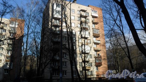 Проспект Тореза, дом 98, корпус 2. 9-этажный жилой дом серии 1-528кп40 1964 года постройки. 1 парадная, 45 квартир. Фото 13 марта 2016 года.