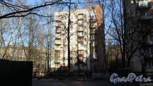 Проспект Тореза, дом 98, корпус 3. 9-этажный жилой дом серии 1-528кп40 1964 года постройки. 1 парадная, 45 квартир. Фото 13 марта 2016 года.