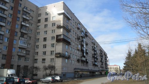 Проспект Тореза, дом 40, корпус 1. 9-этажный жилой дом серии 1-528кп42 1965 года постройки. 5 парадных, 247 квартир. В здании расположен унирвесам "Пятерочка". Фото 18 марта 2016 года. 