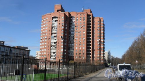 Проспект Тореза, дом 96. 18-этажный жилой дом 1995 года постройки. 2 парадные, 101 квартира. Фото 18 марта 2016 года.