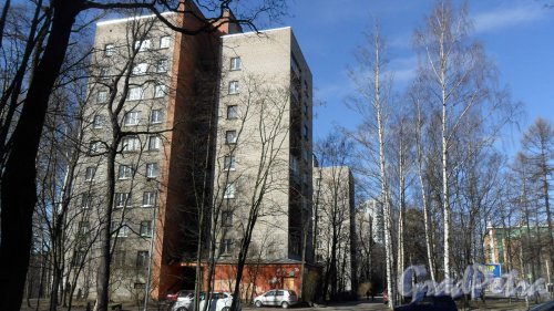 Проспект Тореза, дом 104. 9-этажный жилой дом серии 1-528кп40 1963 года постройки. 1 парадная, 45 квартир. Фото 18 марта 2016 года.