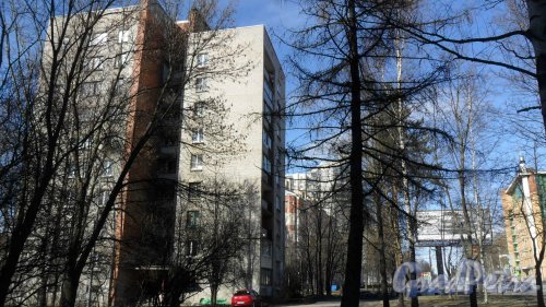 Проспект Тореза, дом 108. 9-этажный жилой дом серии 1-528кп40 1965 года постройки. 1 парадная, 45 квартир. Фото 18 марта 2016 года.