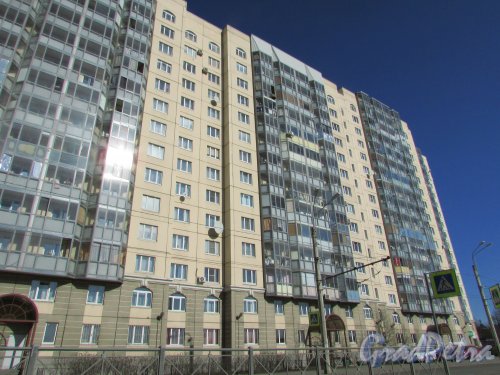 проспект Косыгина, дом 34, корпус 1, литера А. Фасад со стороны Колтушского путепровода. Фото 22 марта 2016 года.