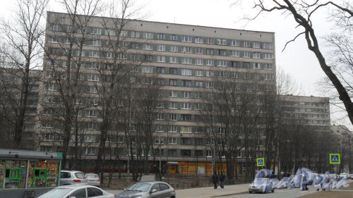 Проспект Тореза, дом 28. 12-этажный жилой дом серии ш-5733/8 1968 года постройки. 2 парадные, 142 квартиры. В здании расположен продуктовый магазин «Семишагофф». Фото 26 марта 2016 года.