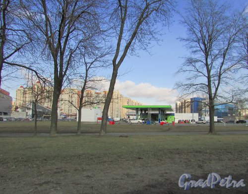 Дунайский проспект, дом 19. Общий вид бензоколонки «Neste Oil». Фото 2 апреля 2016 года.