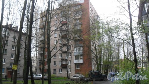 Светлановский проспект, дом 19. 9-этажный жилой дом серии 1-528кп40 1963 года постройки. Вид дома со двора. Фото 28 апреля 2016 года.