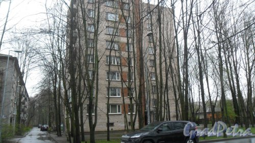Светлановский проспект, дом 7. 9-этажный жилой дом серии 1-528кп40 1964 года постройки. 1 парадная, 45 квартир. Фото 28 апреля 2016 года.