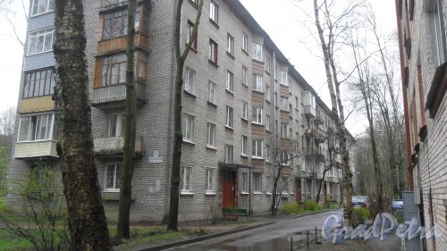 Светлановский проспект, дом 9. 5-этажный жилой дом серии 1-528кп10 1963 года постройки. 5 парадных, 100 квартир. Фото 28 апреля 2016 года.