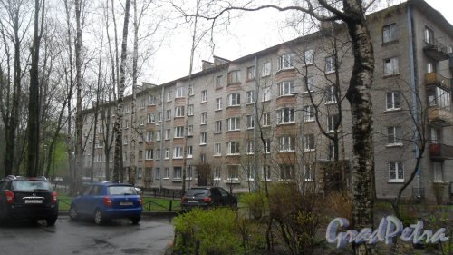 Светлановский проспект, дом 5. 5-этажный жилой дом серии 1-528кп10 1963 года постройки. 4 парадные, 80 квартир. Фото 28 апреля 2016 года.