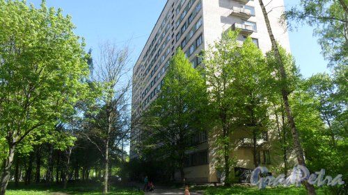 Проспект Тореза, дом 24. 12-этажный жилой дом 1967 года постройки. Вид дома со двора. Фото 12 мая 2016 года.