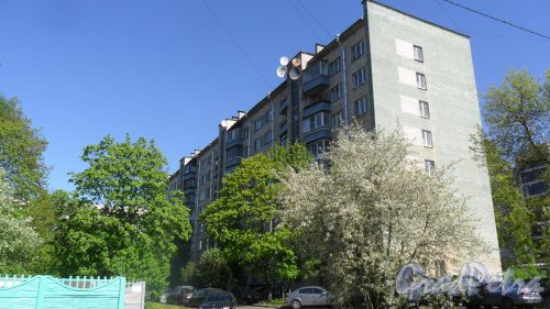 Проспект Тореза, дом 36, корпус 2. 8-этажный жилой дом 1966 года постройки. Вид дома со двора. Фото 12 мая 2016 года.