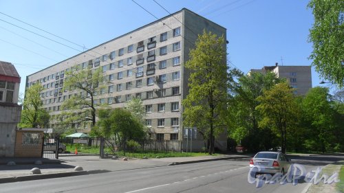Проспект Тореза, дом 36, корпус 2. 8-этажный жилой дом 1966 года постройки. 4 парадные, 109 квартир. Фото 12 мая 2016 года.
