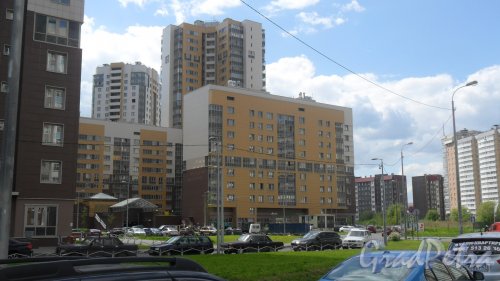 Дунайский проспект, дом 7, корпус 7, литер А. Секция с квартирами 1-510. Общий вид секции. Фото 16 мая 2016 года.