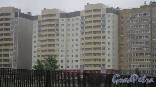 Всеволожск, микрорайон Южный, проспект Добровольского , дом 20, корпус 1. 12-этажный жилой дом 2014 года постройки. 2 парадные, 108 квартир. Фото 6 июля 2016 года.