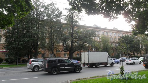 2-й Муринский проспект, дом 3, литер А. 5-этажный жилой дом в стиле сталинского неоклассицизма 1958 года постройки. 11 парадных, 141 квартира. Фото 26 августа 2016 года.