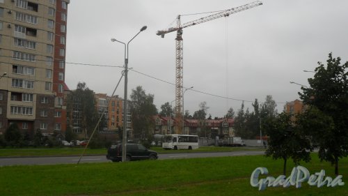 Новоколомяжский проспект, дом 17. Общий вид строительной площадки. Фото 21 сентября 2016 года.