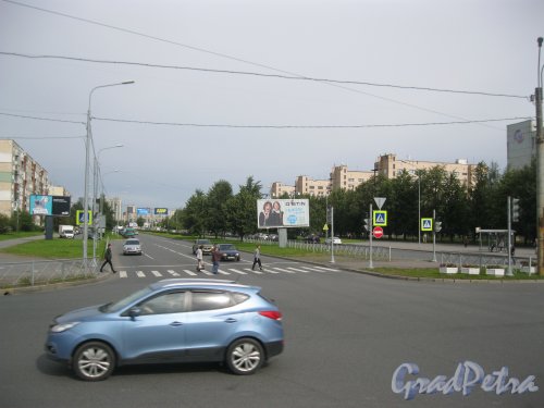 пр. Солидарности. Вид с ул. Коллонтай в сторону ул. Кржижановского. Фото 13 августа 2016 г.