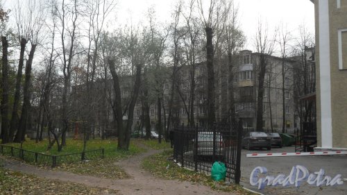 Заневский проспект, дом 55. 5-этажный жилой дом серии 1-335 1962 года постройки. 4 парадные, 80 квартир. Фото 2 ноября 2016 года.