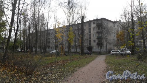 Заневский проспект, дом 47. 5-этажный жилой дом серии 1-335 1962 года постройки. 4 парадные, 80 квартир. Фото 2 ноября 2016 года.