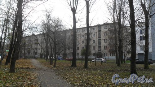 Заневский проспект, дом 39. 5-этажный жилой дом серии 1-335 1962 года постройки. 4 парадные, 80 квартир. Фото 2 ноября 2015 года.