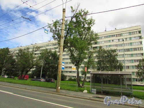 проспект Маршала Жукова, дом 64. Остановка общественного здания перед жилым домом. Фото 9 июля 2016 года.