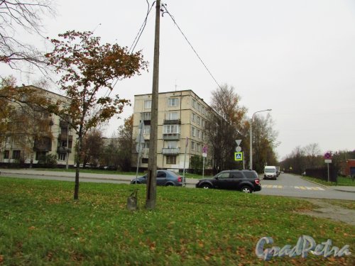 проспект Народного Ополчения, дом 157 и перспектива участка улицы Козлова. Фото 22 октября 2016 года.