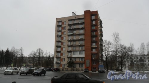 Красное Село, проспект Ленина, дом 73. 9-этажный жилой дом серии 1-528кп40 1967 года постройки. 1 парадная, 44 квартиры. Фото 23 января 2016 года.