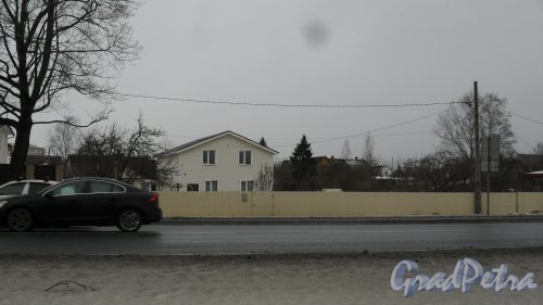 Красное Село, проспект Ленина, дом 29. Фото 23 января 2017 года.