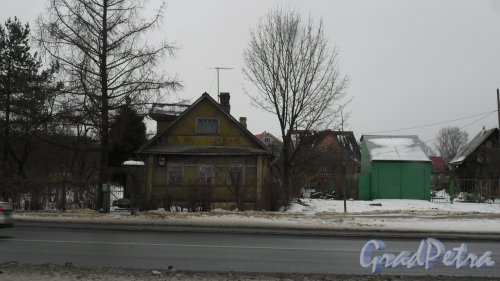 Красное Село, проспект Ленина, дом 25. Фото 23 января 2017 года.