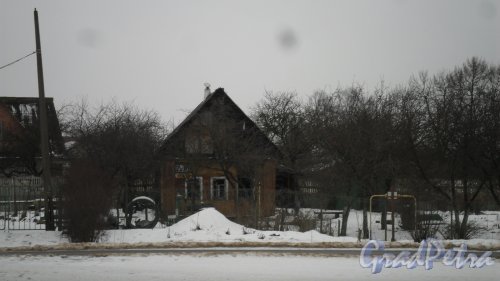 Красное Село, проспект Ленина, дом 23. Фото 23 января 2017 года.