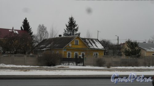 Красное Село, проспект Ленина, дом 21. Фото 23 января 2017 года.